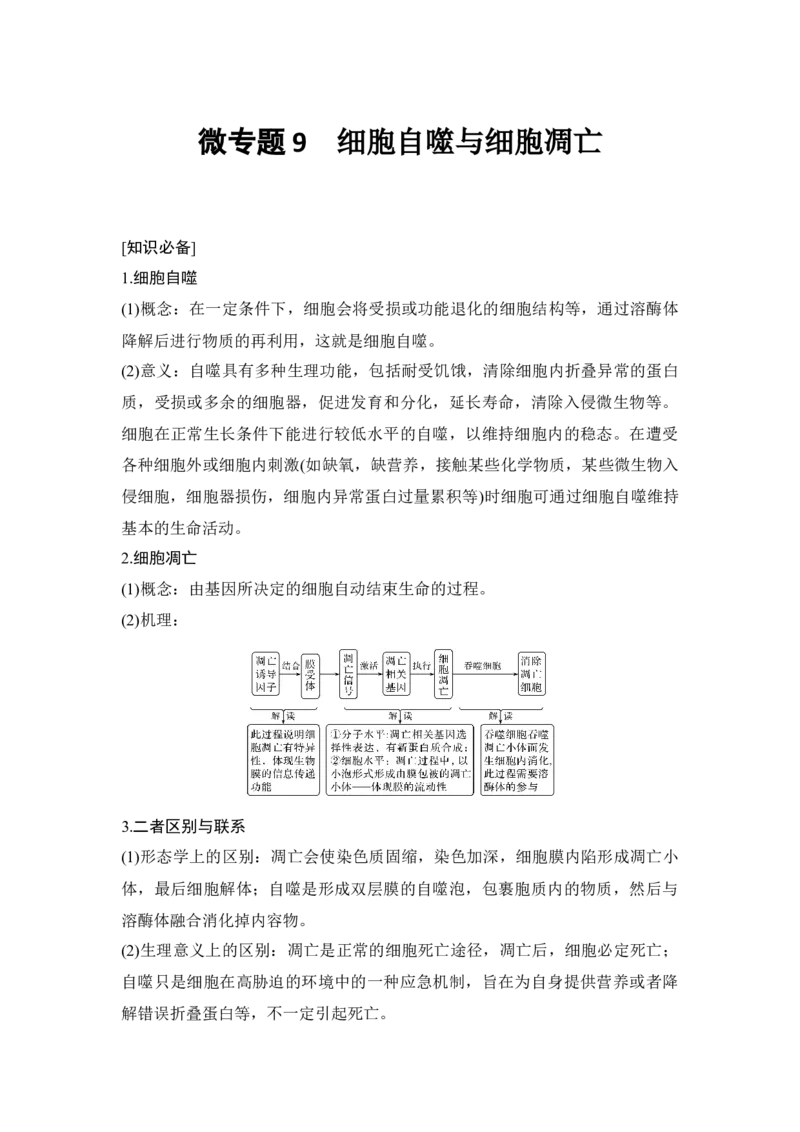 微专题9细胞自噬与细胞凋亡_通用版（老高考）复习资料_2023年复习资料_一轮复习_2023年高考生物一轮复习讲义+课件（全国版）_2023年高考生物一轮复习讲义（全国版）_赠补充习题