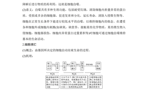 微专题9细胞自噬与细胞凋亡_通用版（老高考）复习资料_2023年复习资料_一轮复习_2023年高考生物一轮复习讲义+课件（全国版）_2023年高考生物一轮复习讲义（全国版）_赠补充习题