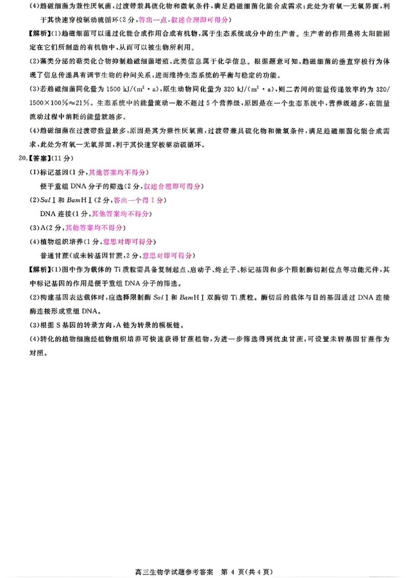安徽华师联盟2025-2026学年高三第二学期4月质量检测生物试题（含答案）_2024-2026高三（6-6月题库）_2026年04月高三试卷_260414安徽华师联盟2026届高三第二学期4月质量检测（全科）