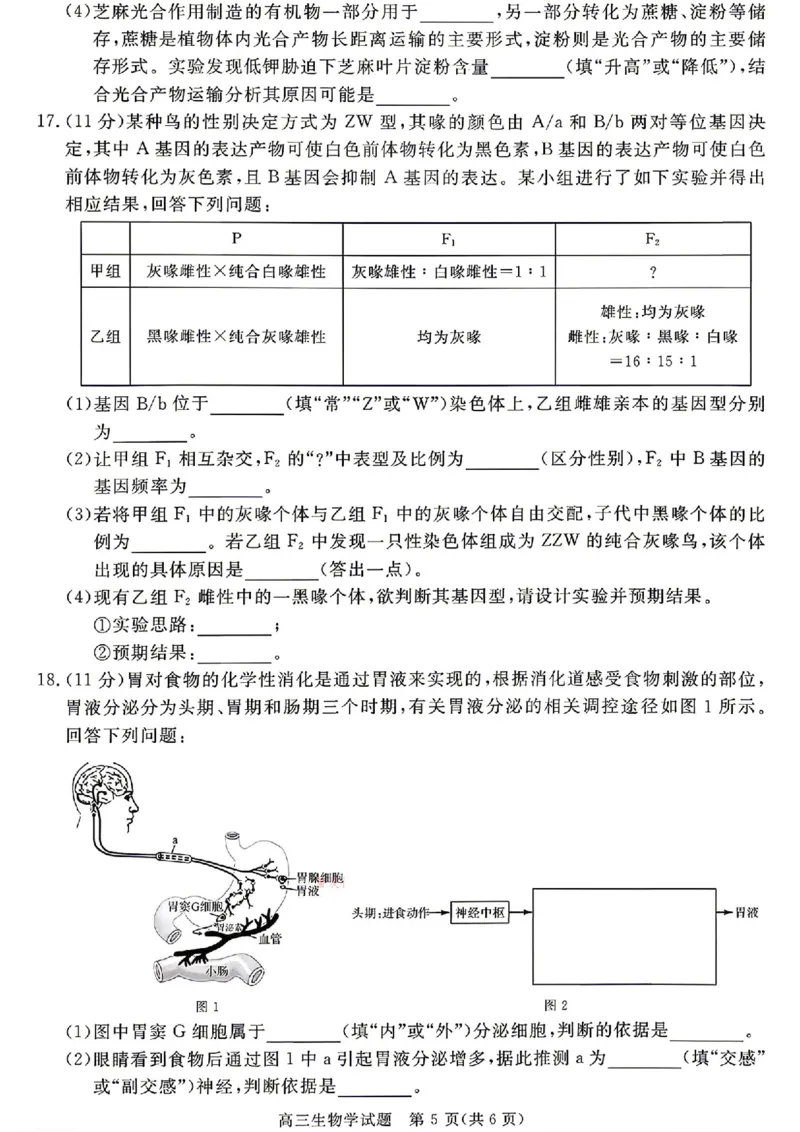 安徽华师联盟2025-2026学年高三第二学期4月质量检测生物试题（含答案）_2024-2026高三（6-6月题库）_2026年04月高三试卷_260414安徽华师联盟2026届高三第二学期4月质量检测（全科）