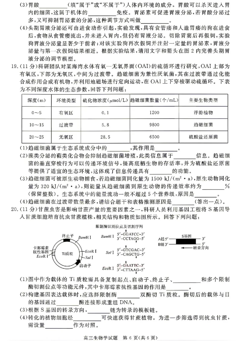 安徽华师联盟2025-2026学年高三第二学期4月质量检测生物试题（含答案）_2024-2026高三（6-6月题库）_2026年04月高三试卷_260414安徽华师联盟2026届高三第二学期4月质量检测（全科）