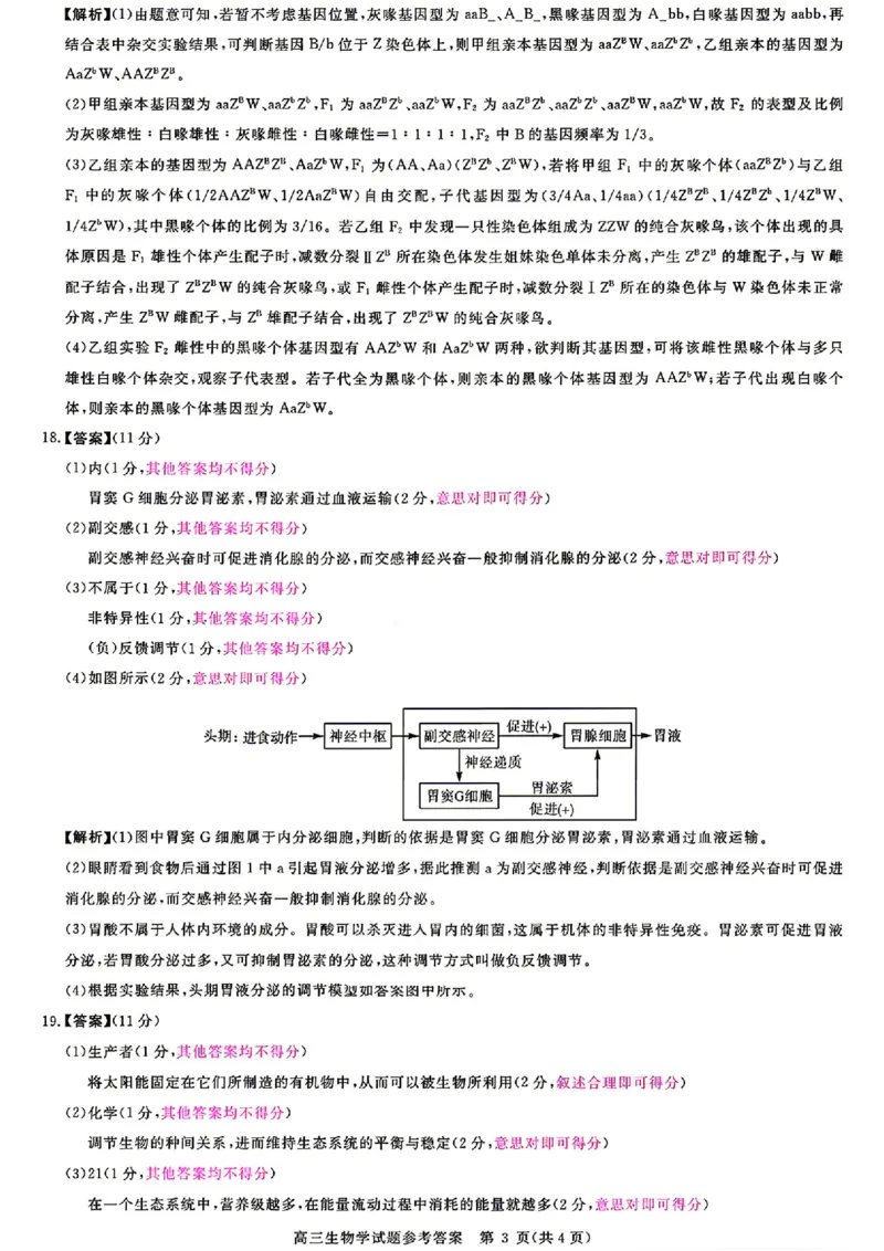 安徽华师联盟2025-2026学年高三第二学期4月质量检测生物试题（含答案）_2024-2026高三（6-6月题库）_2026年04月高三试卷_260414安徽华师联盟2026届高三第二学期4月质量检测（全科）