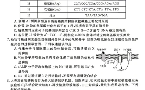 安徽华师联盟2025-2026学年高三第二学期4月质量检测生物试题（含答案）_2024-2026高三（6-6月题库）_2026年04月高三试卷_260414安徽华师联盟2026届高三第二学期4月质量检测（全科）
