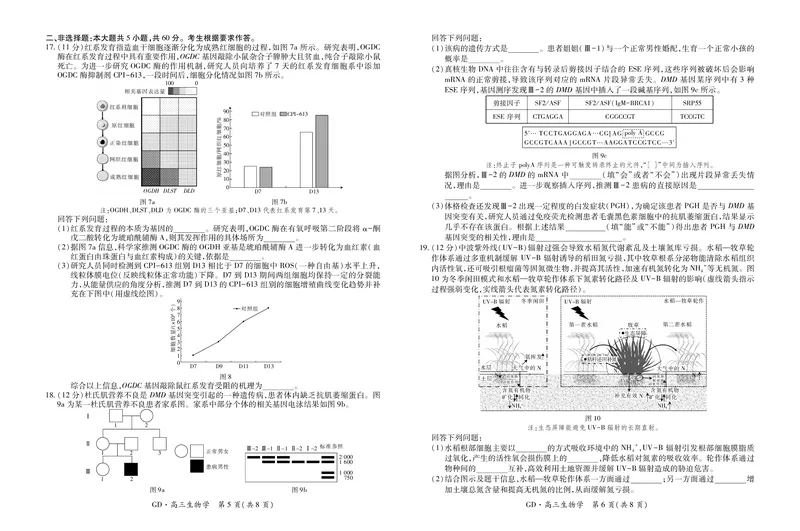 26届3月广东高三&middot;生物学3.18_2024-2026高三（6-6月题库）_2026年03月高三试卷_260328广东江西稳派智慧上进教育联考2026届高三年级3月二轮复习阶段检测（全科）_生物