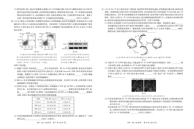 26届3月广东高三&middot;生物学3.18_2024-2026高三（6-6月题库）_2026年03月高三试卷_260328广东江西稳派智慧上进教育联考2026届高三年级3月二轮复习阶段检测（全科）_生物