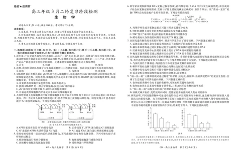 26届3月广东高三&middot;生物学3.18_2024-2026高三（6-6月题库）_2026年03月高三试卷_260328广东江西稳派智慧上进教育联考2026届高三年级3月二轮复习阶段检测（全科）_生物