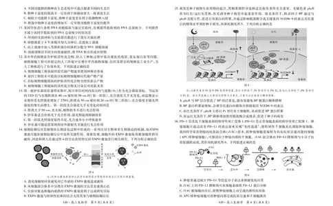 26届3月广东高三&middot;生物学3.18_2024-2026高三（6-6月题库）_2026年03月高三试卷_260328广东江西稳派智慧上进教育联考2026届高三年级3月二轮复习阶段检测（全科）_生物