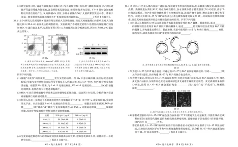 26届3月广东高三&middot;生物学3.18_2024-2026高三（6-6月题库）_2026年03月高三试卷_260328广东江西稳派智慧上进教育联考2026届高三年级3月二轮复习阶段检测（全科）_生物