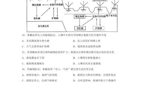 玉溪一中2025一2026学年下学期高三适应性测试（一）地理_2024-2026高三（6-6月题库）_2026年04月高三试卷_260410云南省玉溪市第一中学2025&mdash;2026学年下学期高三适应性测试（一）(全科）