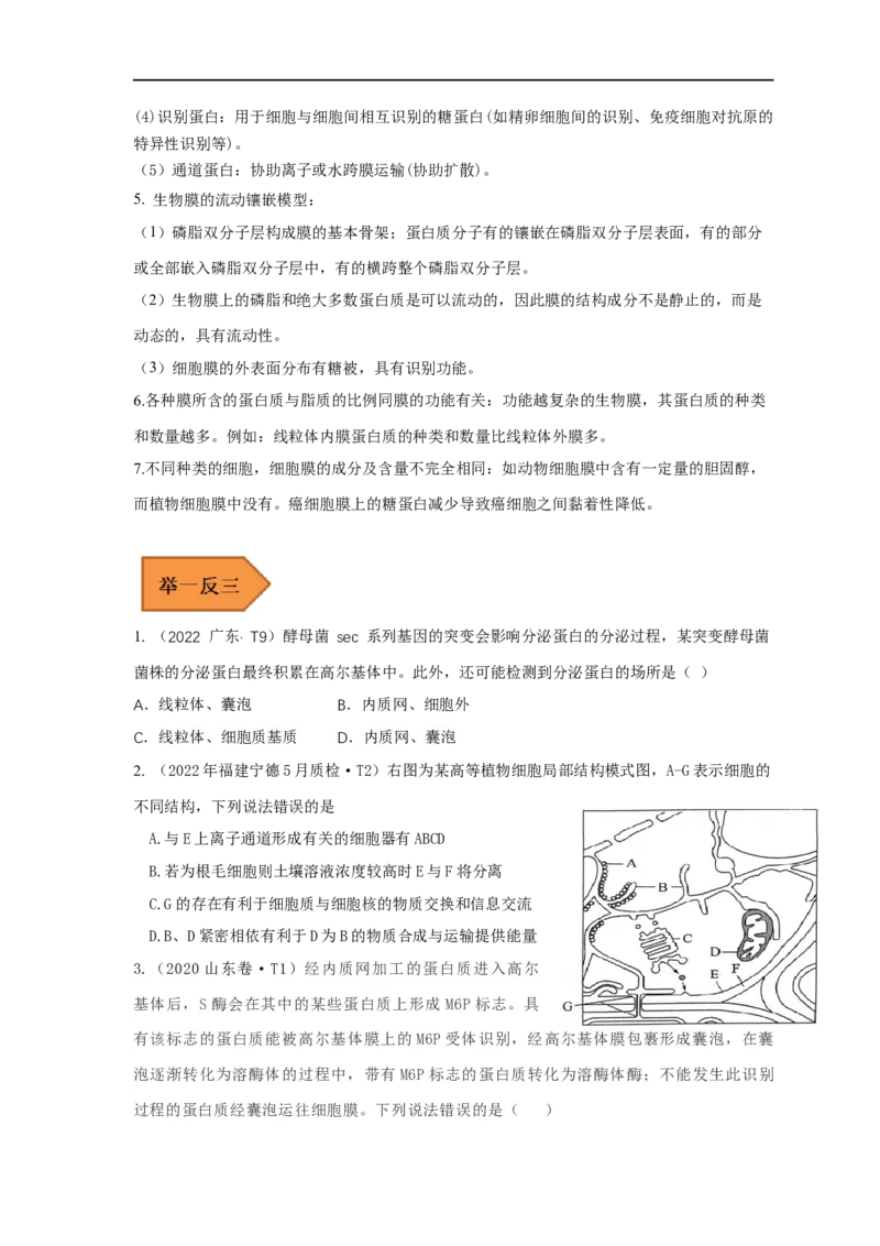 易错点04生物膜的组成和作用-备战2023年高考生物考试易错题（全国通用）（原卷版）_通用版（老高考）复习资料_2023年复习资料_专项复习_备战2023年高考生物考试易错题（全国通用）