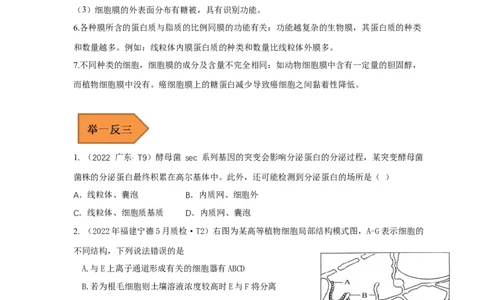 易错点04生物膜的组成和作用-备战2023年高考生物考试易错题（全国通用）（原卷版）_通用版（老高考）复习资料_2023年复习资料_专项复习_备战2023年高考生物考试易错题（全国通用）