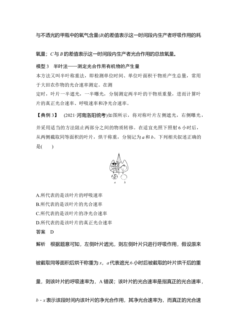 微专题6三率测定的6种实验模型_通用版（老高考）复习资料_2023年复习资料_一轮复习_2023年高考生物一轮复习讲义+课件（全国版）_2023年高考生物一轮复习讲义（全国版）_赠补充习题