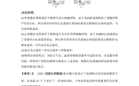 微专题6三率测定的6种实验模型_通用版（老高考）复习资料_2023年复习资料_一轮复习_2023年高考生物一轮复习讲义+课件（全国版）_2023年高考生物一轮复习讲义（全国版）_赠补充习题