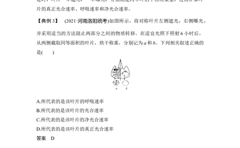微专题6三率测定的6种实验模型_通用版（老高考）复习资料_2023年复习资料_一轮复习_2023年高考生物一轮复习讲义+课件（全国版）_2023年高考生物一轮复习讲义（全国版）_赠补充习题