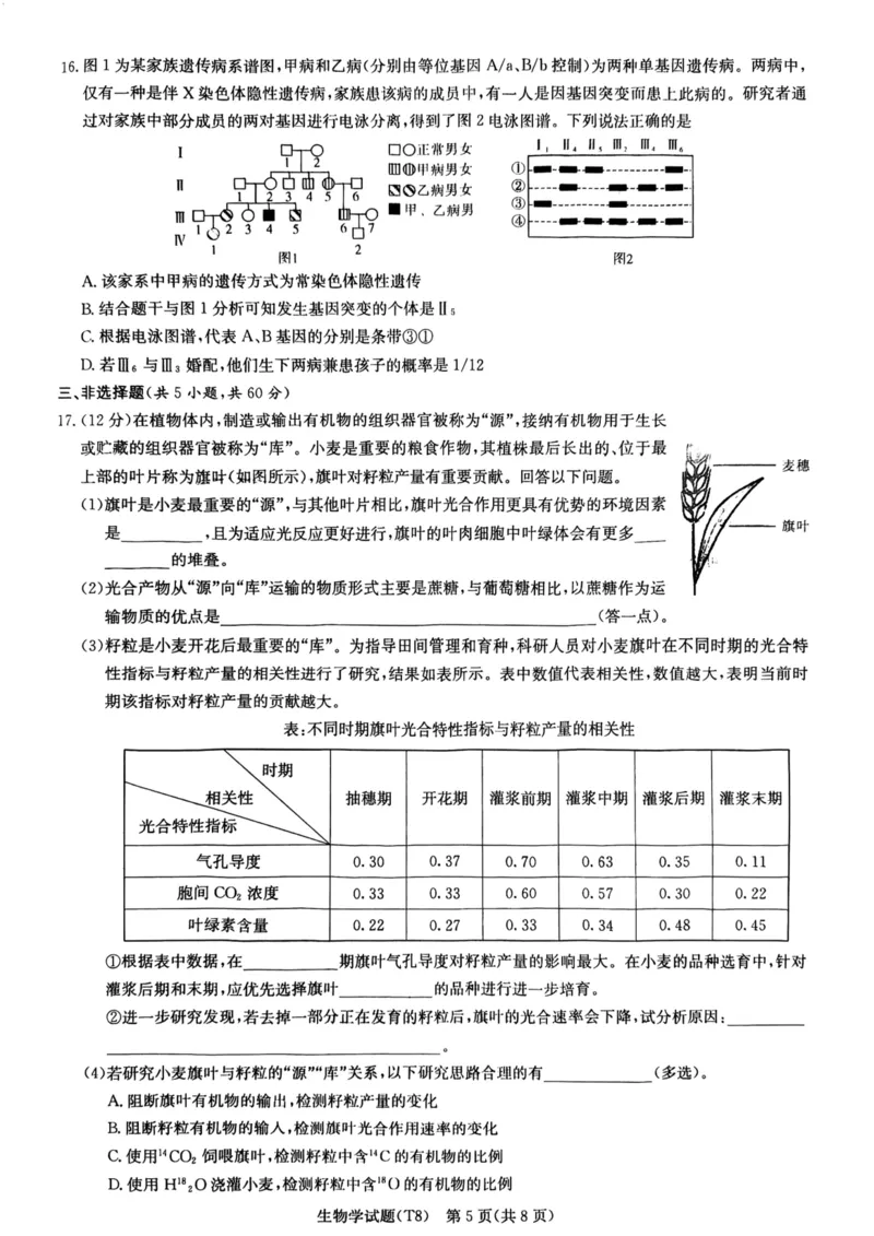 师大附中2026届高三月考试卷（八）生物_2024-2026高三（6-6月题库）_2026年04月高三试卷_2604152026届湖南师范大学附属中学高三模拟卷(一)（全科）