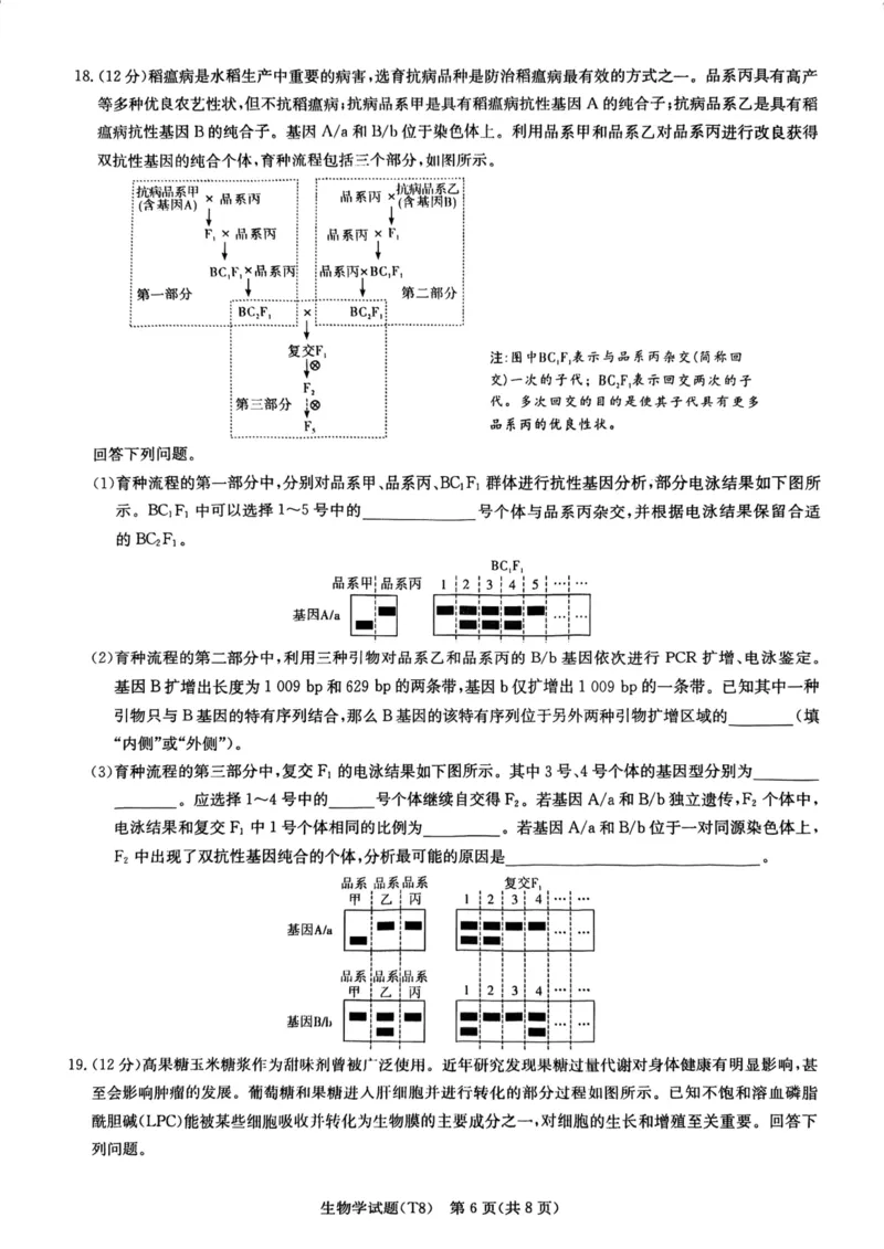 师大附中2026届高三月考试卷（八）生物_2024-2026高三（6-6月题库）_2026年04月高三试卷_2604152026届湖南师范大学附属中学高三模拟卷(一)（全科）