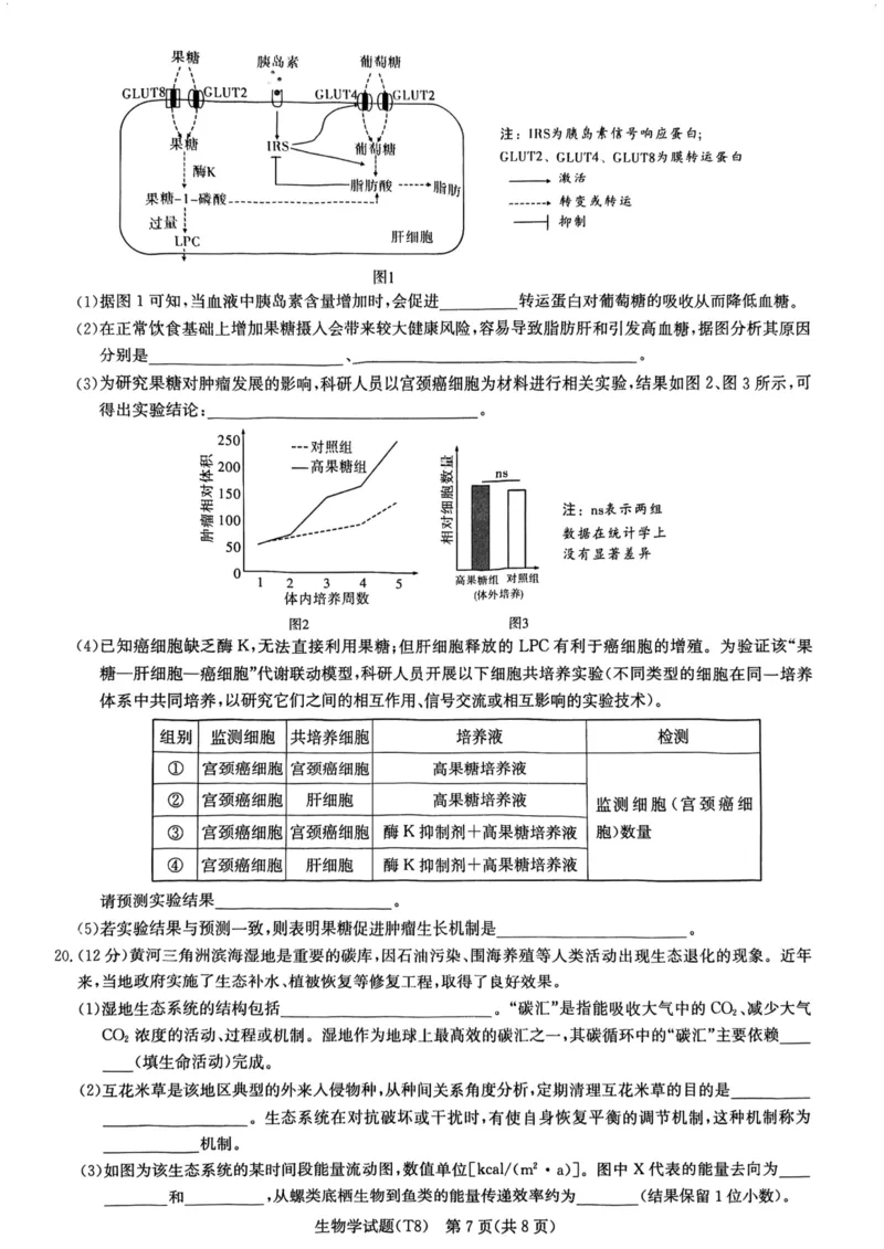 师大附中2026届高三月考试卷（八）生物_2024-2026高三（6-6月题库）_2026年04月高三试卷_2604152026届湖南师范大学附属中学高三模拟卷(一)（全科）