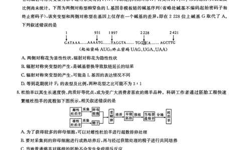师大附中2026届高三月考试卷（八）生物_2024-2026高三（6-6月题库）_2026年04月高三试卷_2604152026届湖南师范大学附属中学高三模拟卷(一)（全科）