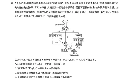 师大附中2026届高三月考试卷（八）生物_2024-2026高三（6-6月题库）_2026年04月高三试卷_2604152026届湖南师范大学附属中学高三模拟卷(一)（全科）