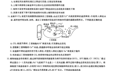 师大附中2026届高三月考试卷（八）生物_2024-2026高三（6-6月题库）_2026年04月高三试卷_2604152026届湖南师范大学附属中学高三模拟卷(一)（全科）