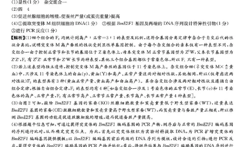 湖南师大附中2026届高三月考试卷（七）生物答案_2024-2026高三（6-6月题库）_2026年03月高三试卷_260301湖南师大附中2026届高三2月月考试卷（七）