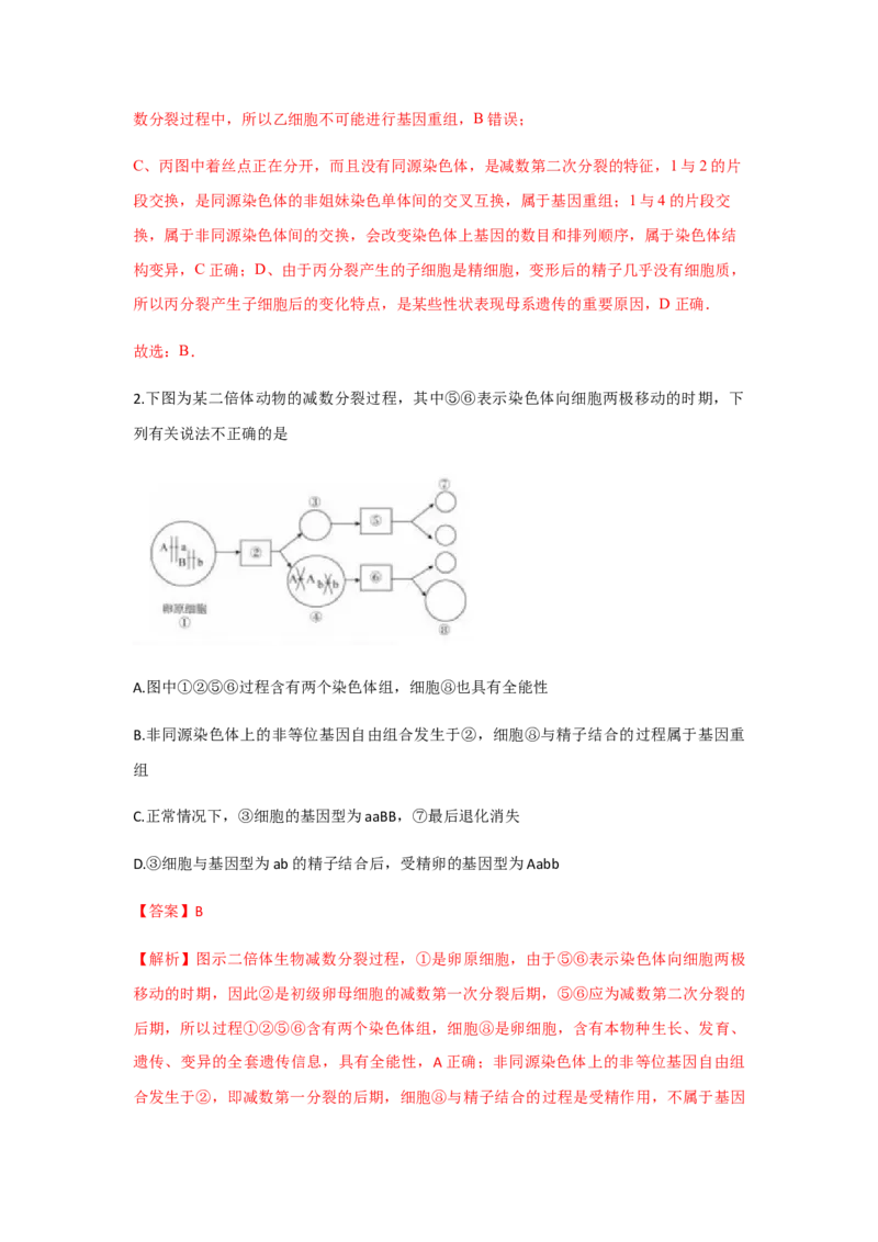 易错点05遗传的细胞基础-2021年高考生物一轮复习易错题（教师版含解析）_新高考复习资料_2023年新高考复习资料_一轮复习_2023年新高考大一轮复习讲义