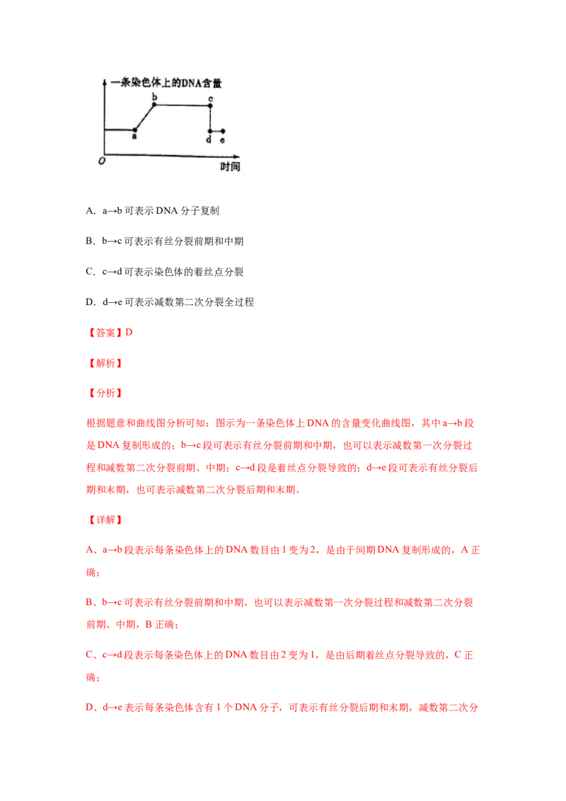 易错点05遗传的细胞基础-2021年高考生物一轮复习易错题（教师版含解析）_新高考复习资料_2023年新高考复习资料_一轮复习_2023年新高考大一轮复习讲义