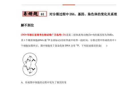 易错点05遗传的细胞基础-2021年高考生物一轮复习易错题（教师版含解析）_新高考复习资料_2023年新高考复习资料_一轮复习_2023年新高考大一轮复习讲义
