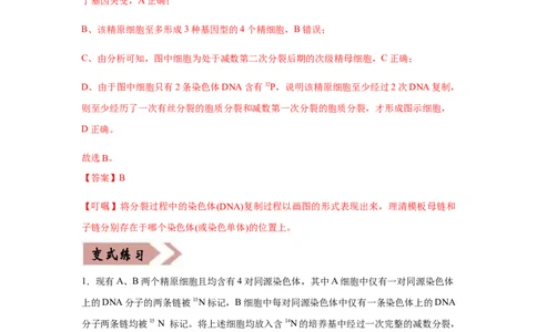 易错点05遗传的细胞基础-2021年高考生物一轮复习易错题（教师版含解析）_新高考复习资料_2023年新高考复习资料_一轮复习_2023年新高考大一轮复习讲义