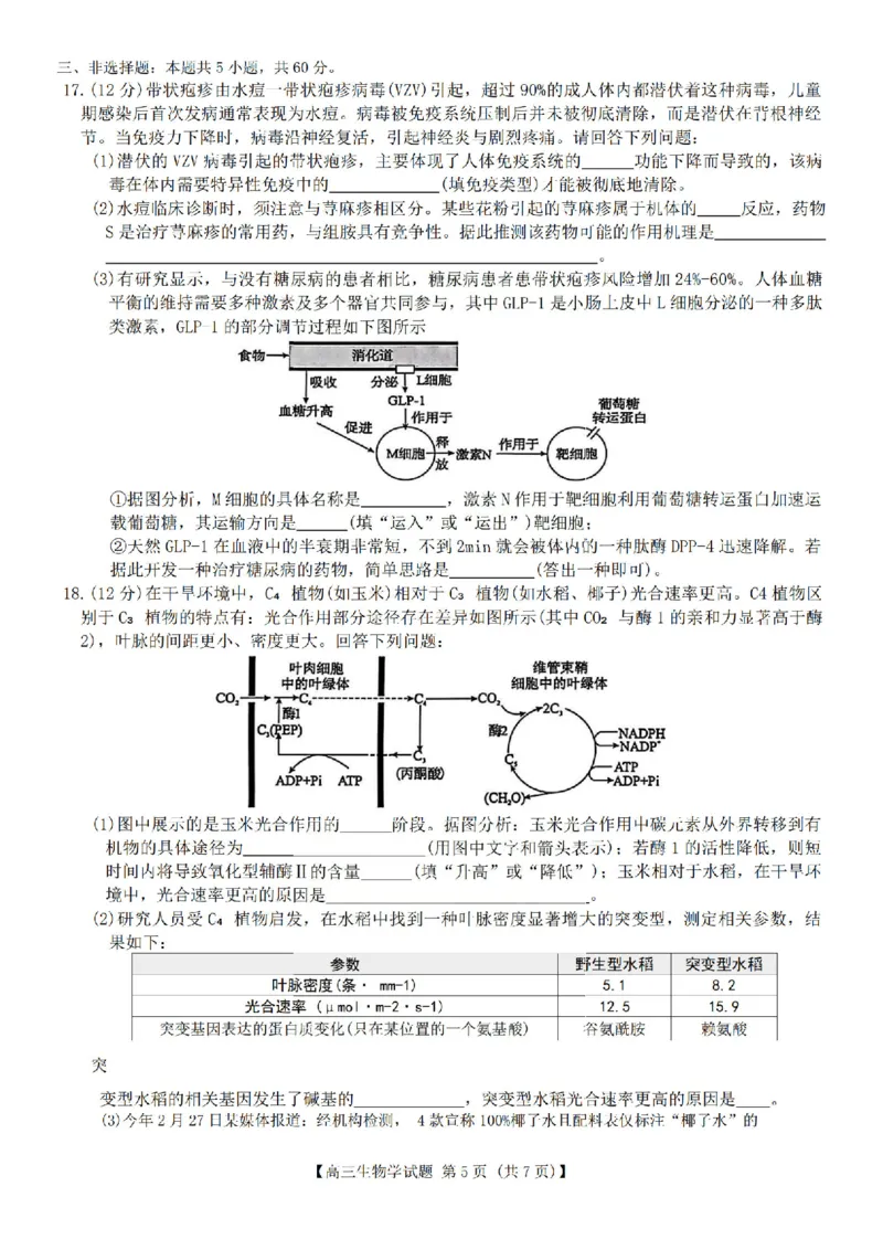 生物试题卷湖南天壹名校联盟2026届高三年级3月质量检测(3.30-3.31)_2024-2026高三（6-6月题库）_2026年04月高三试卷_2604012026届湖南天壹名校联盟高三下学期3月质检（全科）