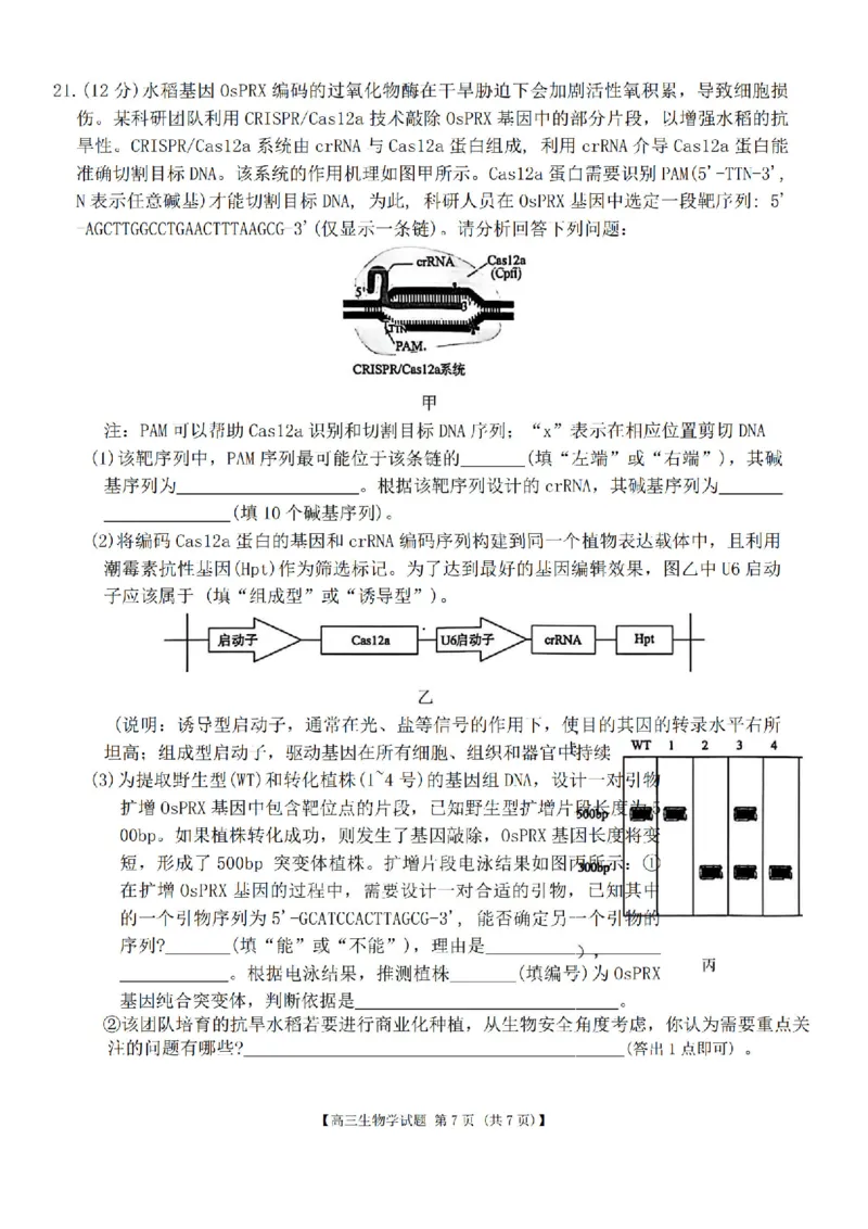 生物试题卷湖南天壹名校联盟2026届高三年级3月质量检测(3.30-3.31)_2024-2026高三（6-6月题库）_2026年04月高三试卷_2604012026届湖南天壹名校联盟高三下学期3月质检（全科）