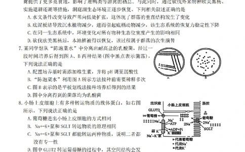生物试题卷湖南天壹名校联盟2026届高三年级3月质量检测(3.30-3.31)_2024-2026高三（6-6月题库）_2026年04月高三试卷_2604012026届湖南天壹名校联盟高三下学期3月质检（全科）