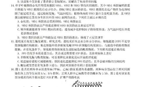 生物试题卷湖南天壹名校联盟2026届高三年级3月质量检测(3.30-3.31)_2024-2026高三（6-6月题库）_2026年04月高三试卷_2604012026届湖南天壹名校联盟高三下学期3月质检（全科）