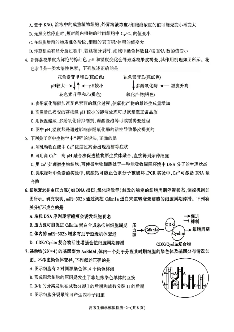 生物试题卷_2024-2026高三（6-6月题库）_2026年04月高三试卷_260428陕西省咸阳市2026(年)届高三年级4月高考模拟检测（全科）_2026届咸阳三模生物