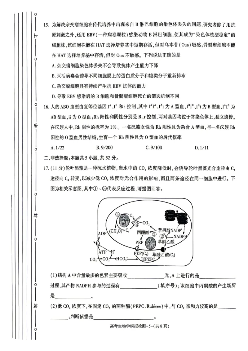 生物试题卷_2024-2026高三（6-6月题库）_2026年04月高三试卷_260428陕西省咸阳市2026(年)届高三年级4月高考模拟检测（全科）_2026届咸阳三模生物