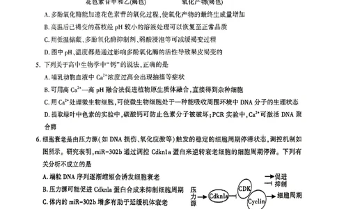生物试题卷_2024-2026高三（6-6月题库）_2026年04月高三试卷_260428陕西省咸阳市2026(年)届高三年级4月高考模拟检测（全科）_2026届咸阳三模生物