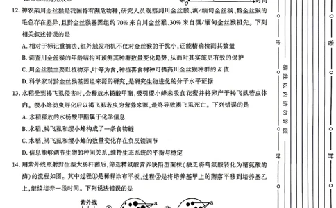 生物试题卷_2024-2026高三（6-6月题库）_2026年04月高三试卷_260428陕西省咸阳市2026(年)届高三年级4月高考模拟检测（全科）_2026届咸阳三模生物