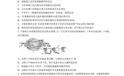 广东省深圳市光明区2023届高三上学期第一次模拟考试（8月）生物（Word版含解析）_生物高考模拟题_新高考_2023年