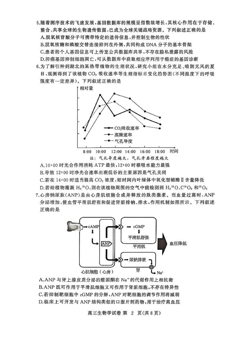 生物试卷-2026年3月黄冈市高三年级3月模拟考试_2024-2026高三（6-6月题库）_2026年03月高三试卷_260318湖北黄冈2026届高三下学期3月模考（二模）（全科）