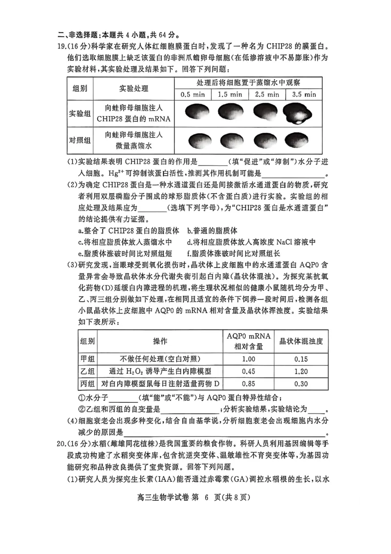 生物试卷-2026年3月黄冈市高三年级3月模拟考试_2024-2026高三（6-6月题库）_2026年03月高三试卷_260318湖北黄冈2026届高三下学期3月模考（二模）（全科）