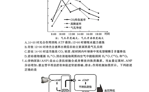 生物试卷-2026年3月黄冈市高三年级3月模拟考试_2024-2026高三（6-6月题库）_2026年03月高三试卷_260318湖北黄冈2026届高三下学期3月模考（二模）（全科）