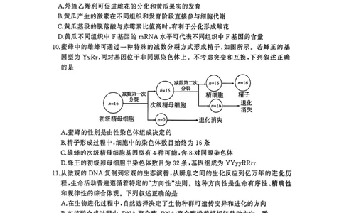 生物试卷-2026年3月黄冈市高三年级3月模拟考试_2024-2026高三（6-6月题库）_2026年03月高三试卷_260318湖北黄冈2026届高三下学期3月模考（二模）（全科）