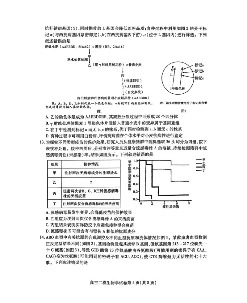 内江市高中2026届第二次模拟考试题生物_2024-2026高三（6-6月题库）_2026年03月高三试卷_260320四川省内江市高中2026届第二次模拟考（内江二模）（全科）