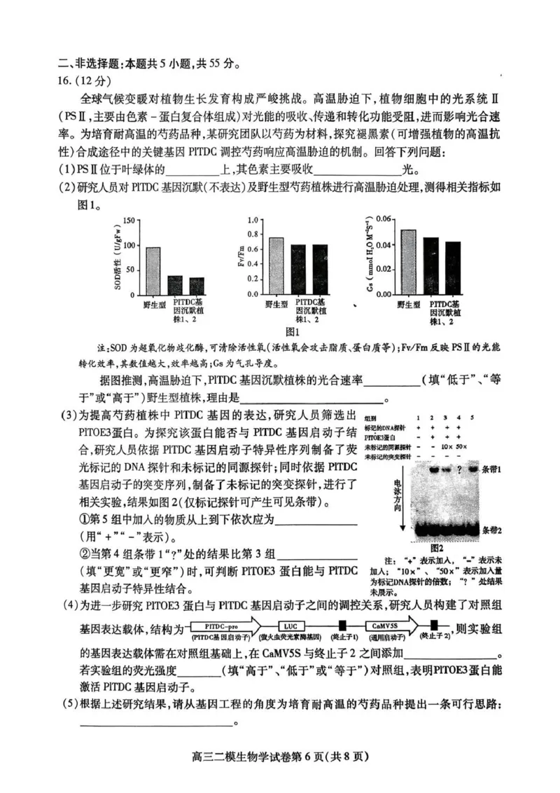 内江市高中2026届第二次模拟考试题生物_2024-2026高三（6-6月题库）_2026年03月高三试卷_260320四川省内江市高中2026届第二次模拟考（内江二模）（全科）