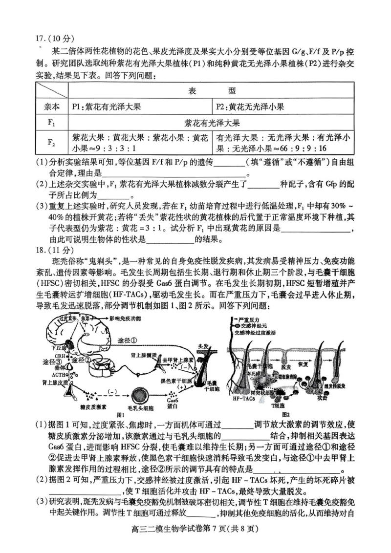 内江市高中2026届第二次模拟考试题生物_2024-2026高三（6-6月题库）_2026年03月高三试卷_260320四川省内江市高中2026届第二次模拟考（内江二模）（全科）