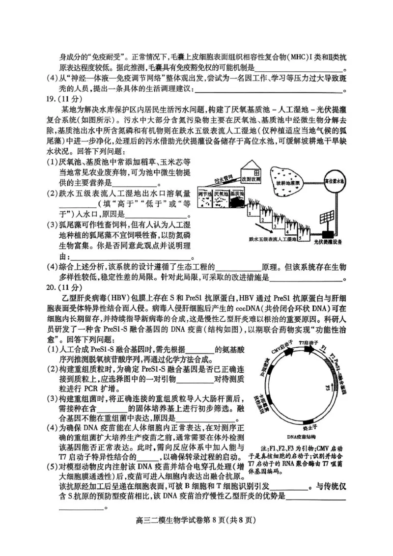 内江市高中2026届第二次模拟考试题生物_2024-2026高三（6-6月题库）_2026年03月高三试卷_260320四川省内江市高中2026届第二次模拟考（内江二模）（全科）