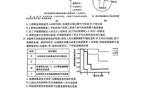 内江市高中2026届第二次模拟考试题生物_2024-2026高三（6-6月题库）_2026年03月高三试卷_260320四川省内江市高中2026届第二次模拟考（内江二模）（全科）