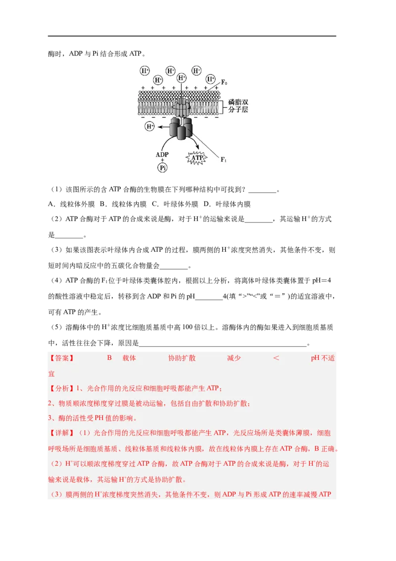 易错点06酶的组成及特性-备战2023年高考生物考试易错题（新教材新高考）（解析版）_新高考复习资料_2023年新高考复习资料_专项复习_备战2023年高考生物考试易错题（新教材新高考）