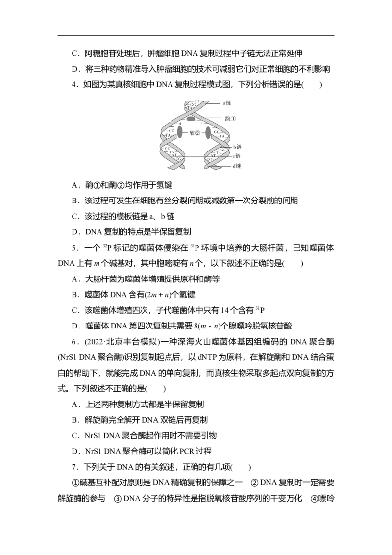 夯基提能练19DNA分子的结构和复制、基因的本质-备战2023高考生物一轮复习夯基提能练（全国通用）（解析版）_通用版（老高考）复习资料_2023年复习资料_一轮复习