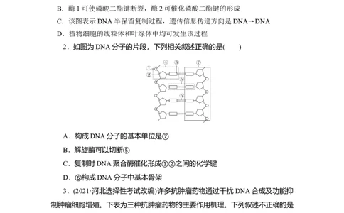 夯基提能练19DNA分子的结构和复制、基因的本质-备战2023高考生物一轮复习夯基提能练（全国通用）（解析版）_通用版（老高考）复习资料_2023年复习资料_一轮复习